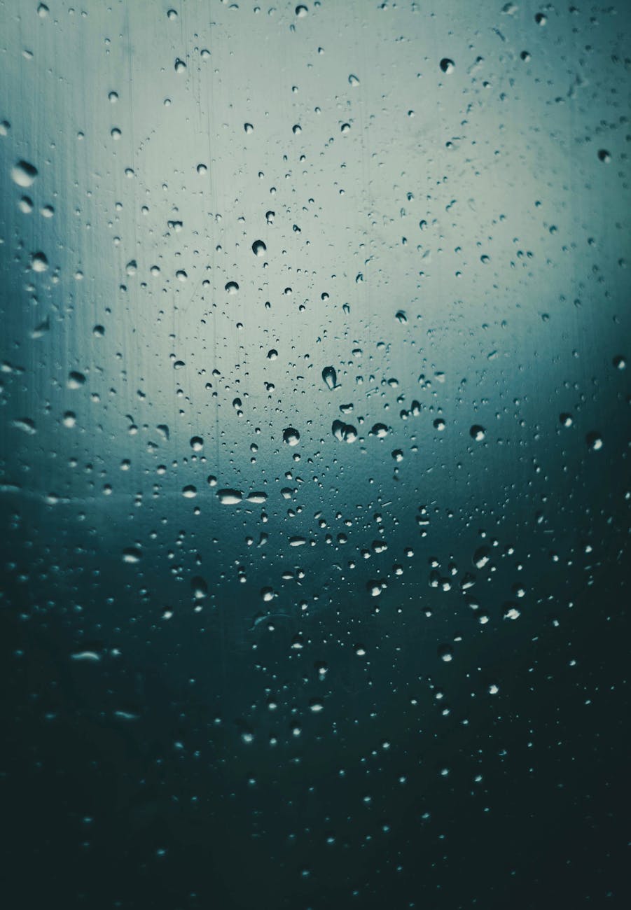 A blurred, abstract view through a rain-streaked window, evoking a sense of mystery and hidden secrets.