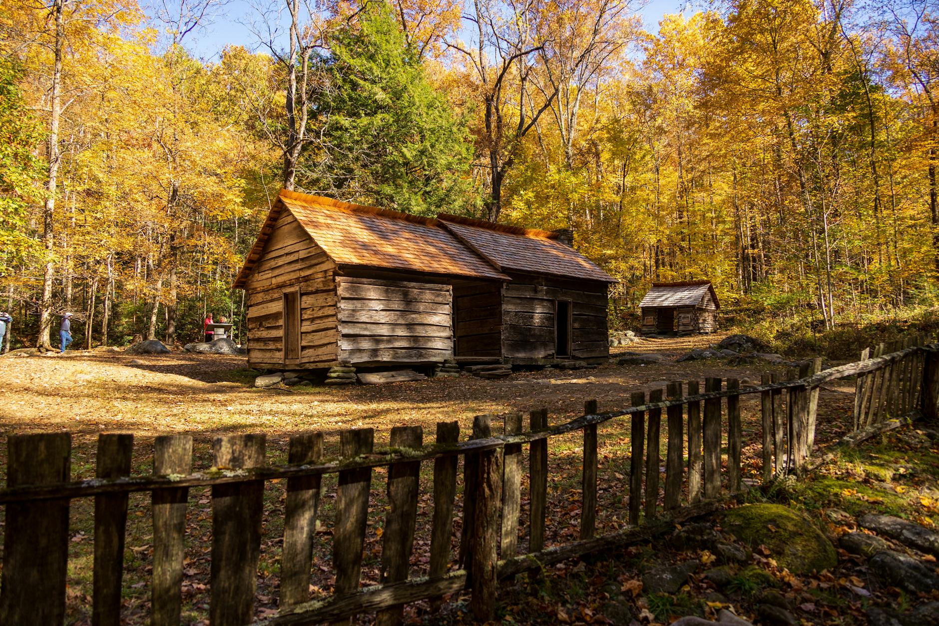 An old woman's cottage nestled deep within a mystical forest.