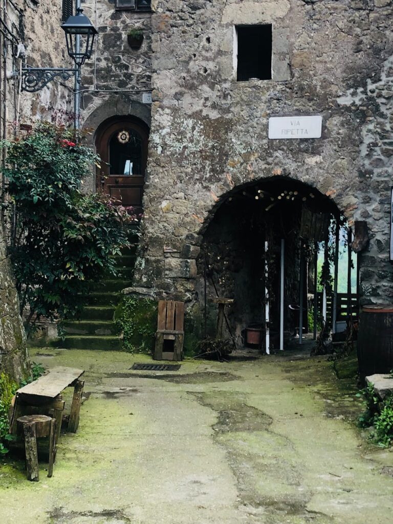 An ancient stone archway covered in moss and vines, hidden amongst foliage.